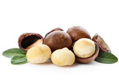 macadamia1
